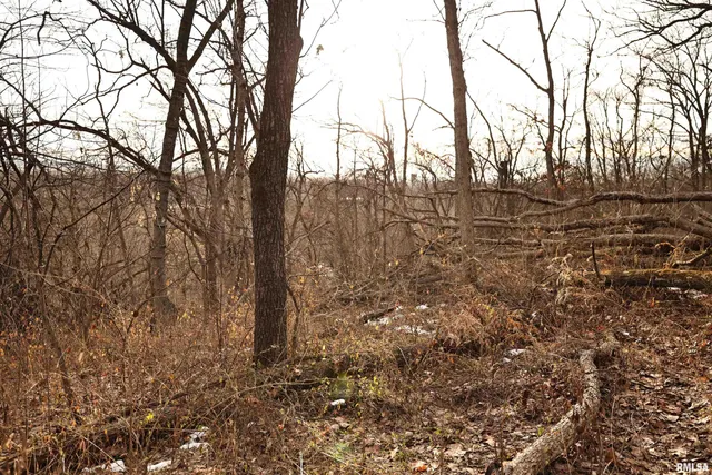 $145,000 | 31027 Co Highway 21, Griggsville, IL 62340