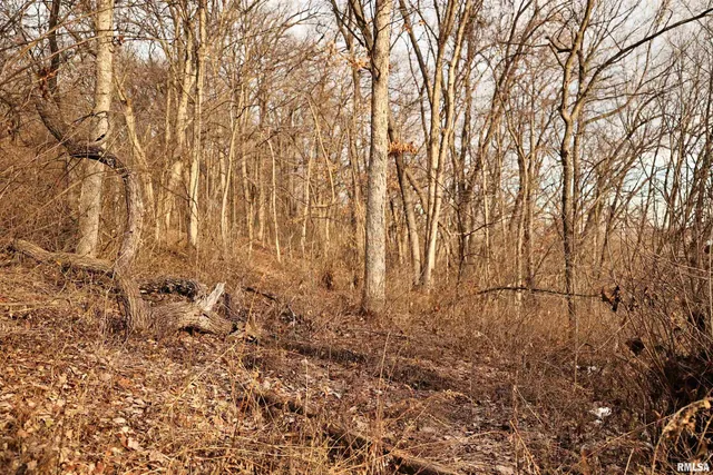 $145,000 | 31027 Co Highway 21, Griggsville, IL 62340