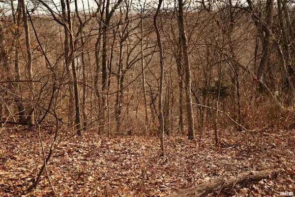 $145,000 | 31027 Co Highway 21, Griggsville, IL 62340