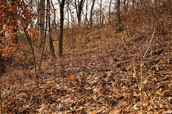 $145,000 | 31027 Co Highway 21, Griggsville, IL 62340