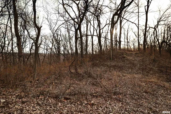 $145,000 | 31027 Co Highway 21, Griggsville, IL 62340