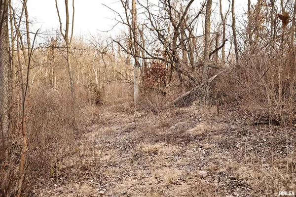 $145,000 | 31027 Co Highway 21, Griggsville, IL 62340