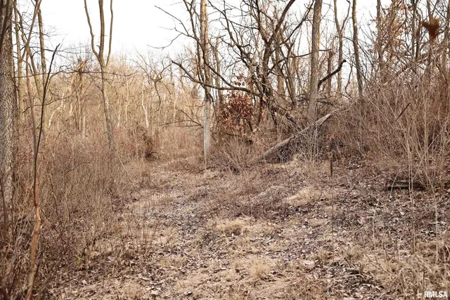 $145,000 | 31027 Co Highway 21, Griggsville, IL 62340