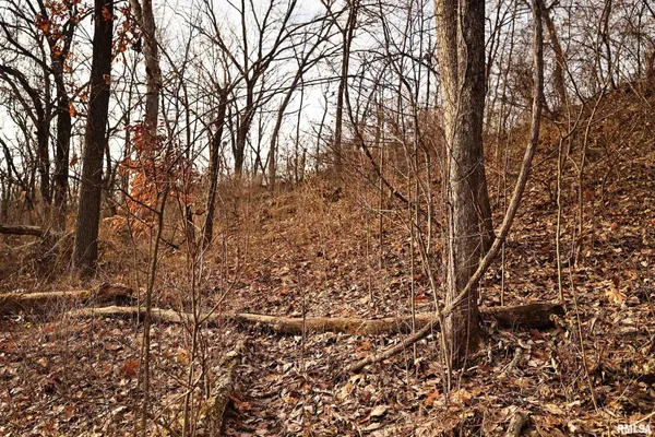 $145,000 | 31027 Co Highway 21, Griggsville, IL 62340