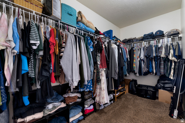 25 West Ridge Road, Unit 25 Saratoga Springs, UT 84045 - Photo 14 of 22 Spacious walk-in closet featuring wire shelving, built-in clothing racks, and carpet flooring
