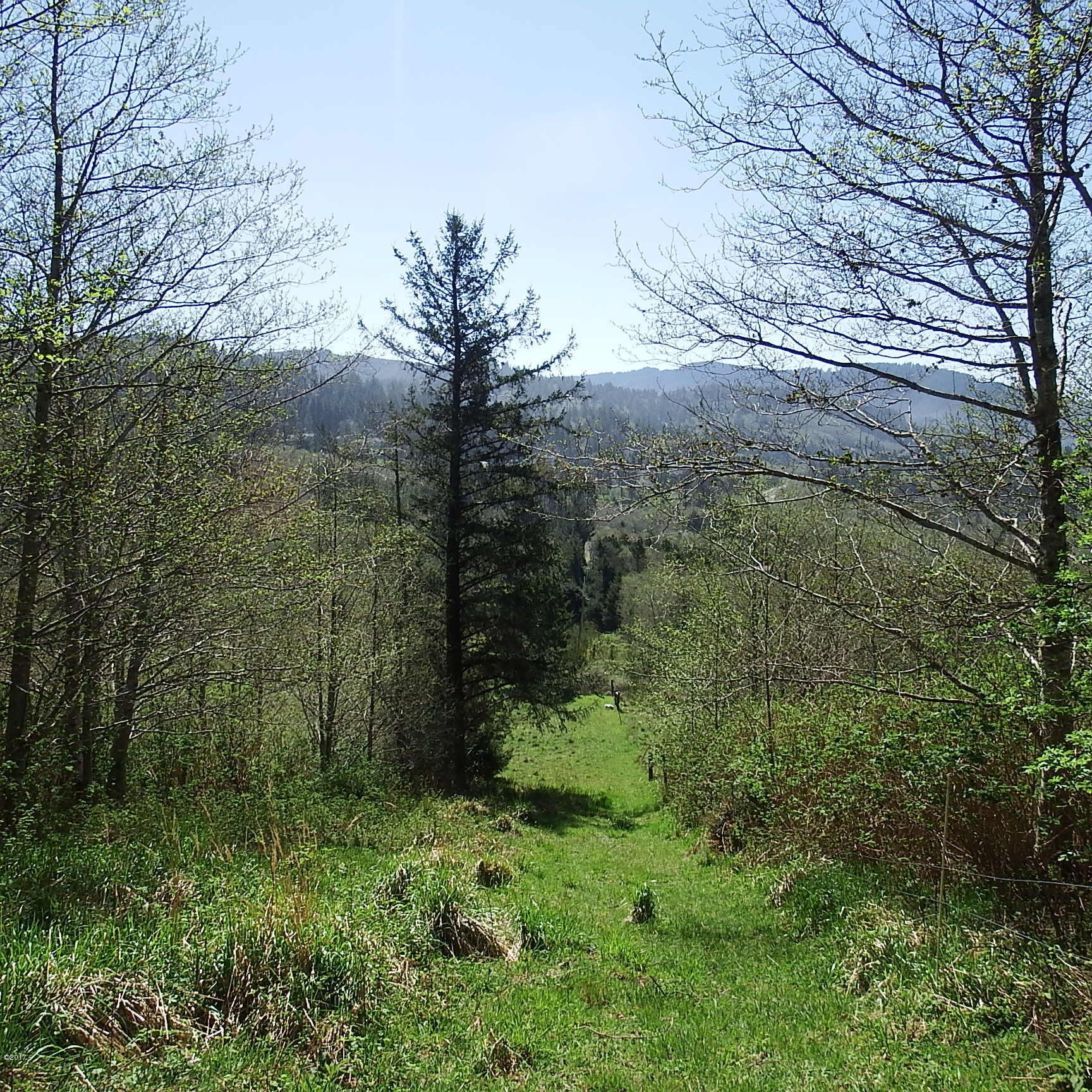 6205 Scherzinger Road Neskowin, OR 97149 - Photo 63 of 88 West Property Line