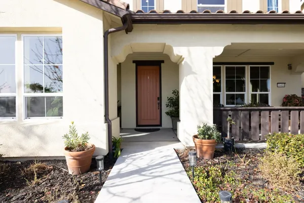 a house with potted plants in front of it