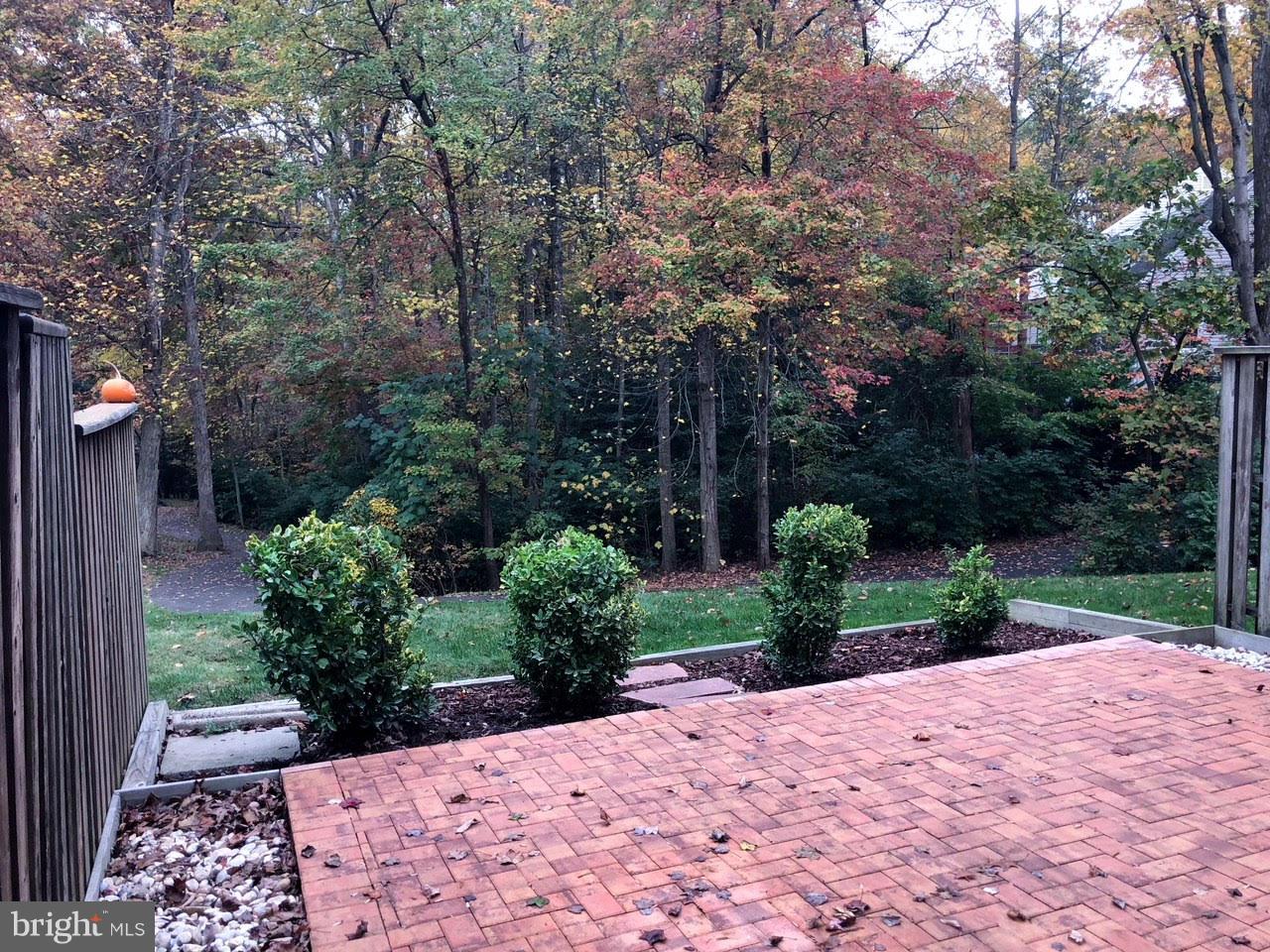 10965 Harpers Square Court Reston, VA 20191 - Photo 19 of 19 Patio and Woods