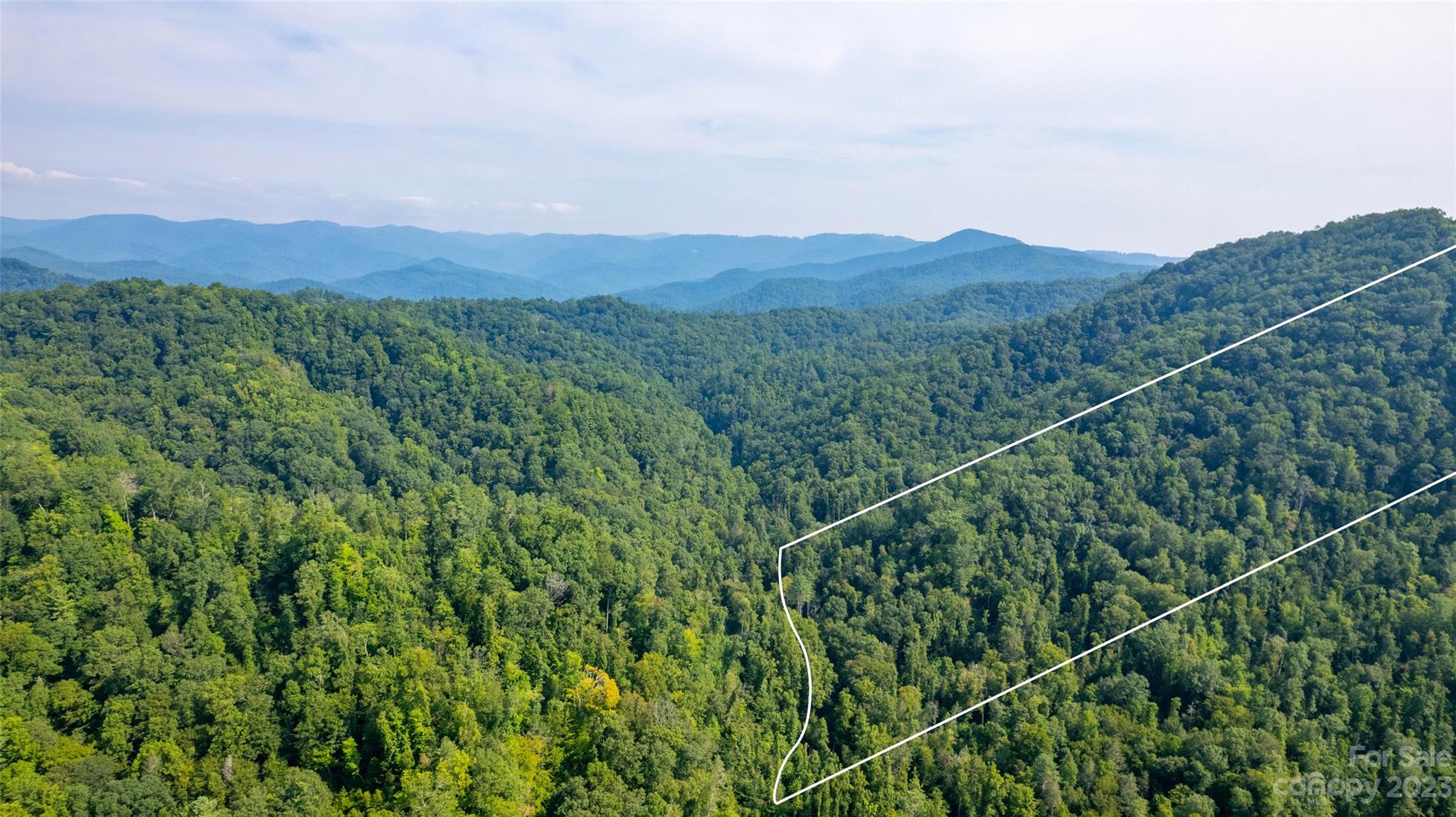 a view of a mountain range with lush green forest