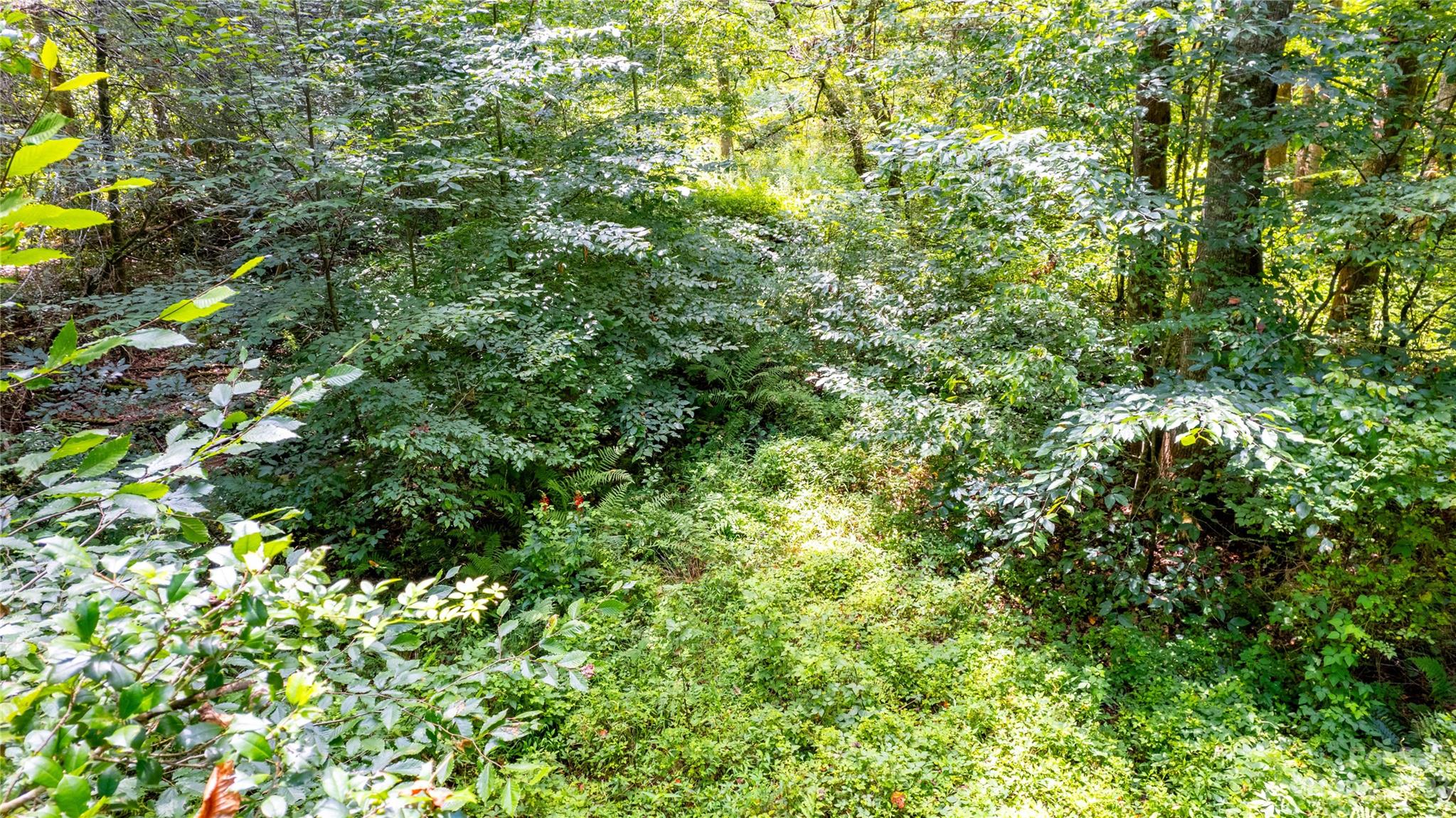 Tbd Tbd Collettsville Road, Unit 10 Collettsville, NC 28611 - Photo 4 of 19 a view of a tree