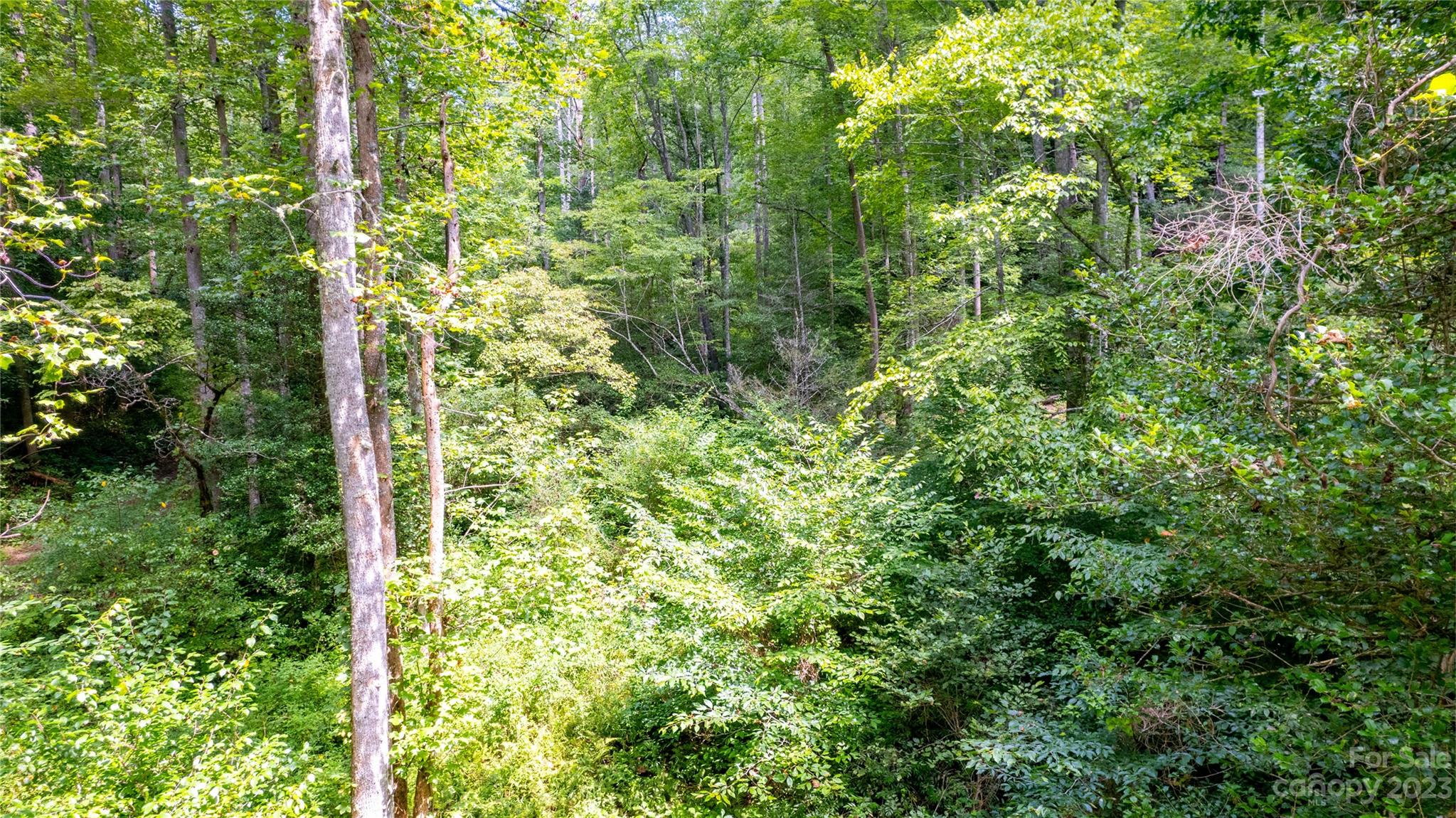 Tbd Tbd Collettsville Road, Unit 10 Collettsville, NC 28611 - Photo 6 of 19 a view of a forest
