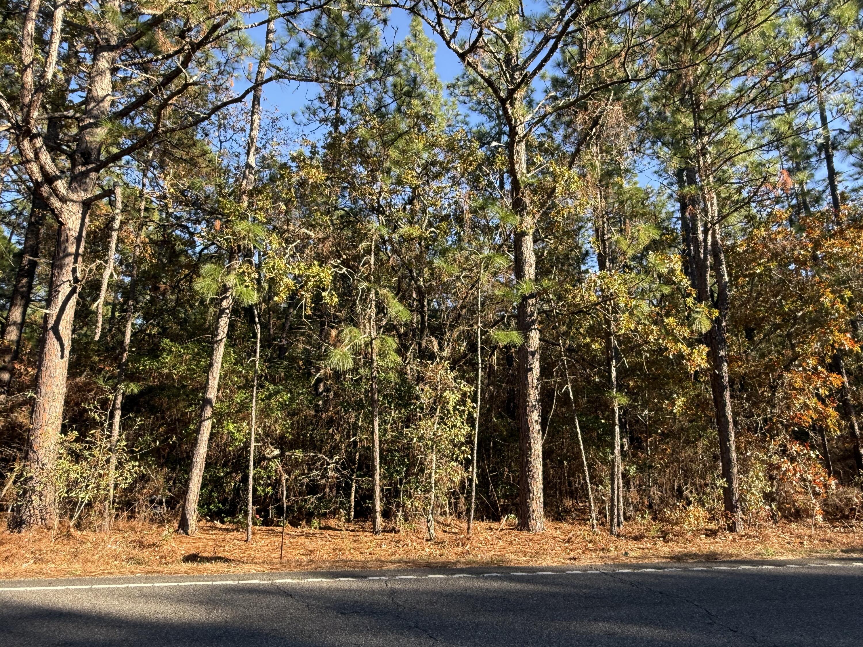 Lot 1 11.06 Acre State Park Road Windsor, SC 29856 - Photo 3 of 4