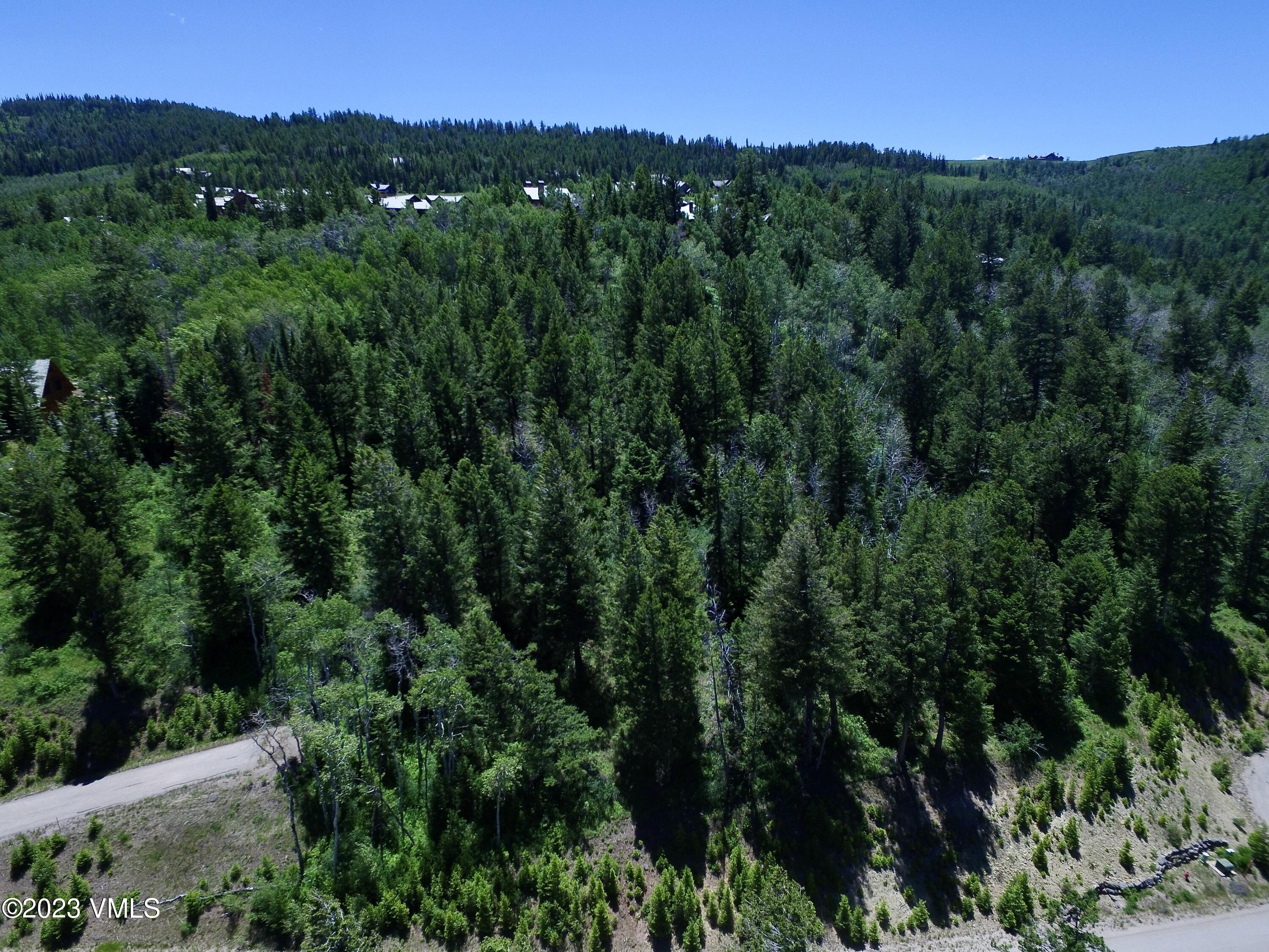 176 Sunquist Road Edwards, CO 81632 - Photo 11 of 19 a view of a lush green forest with a building in the background