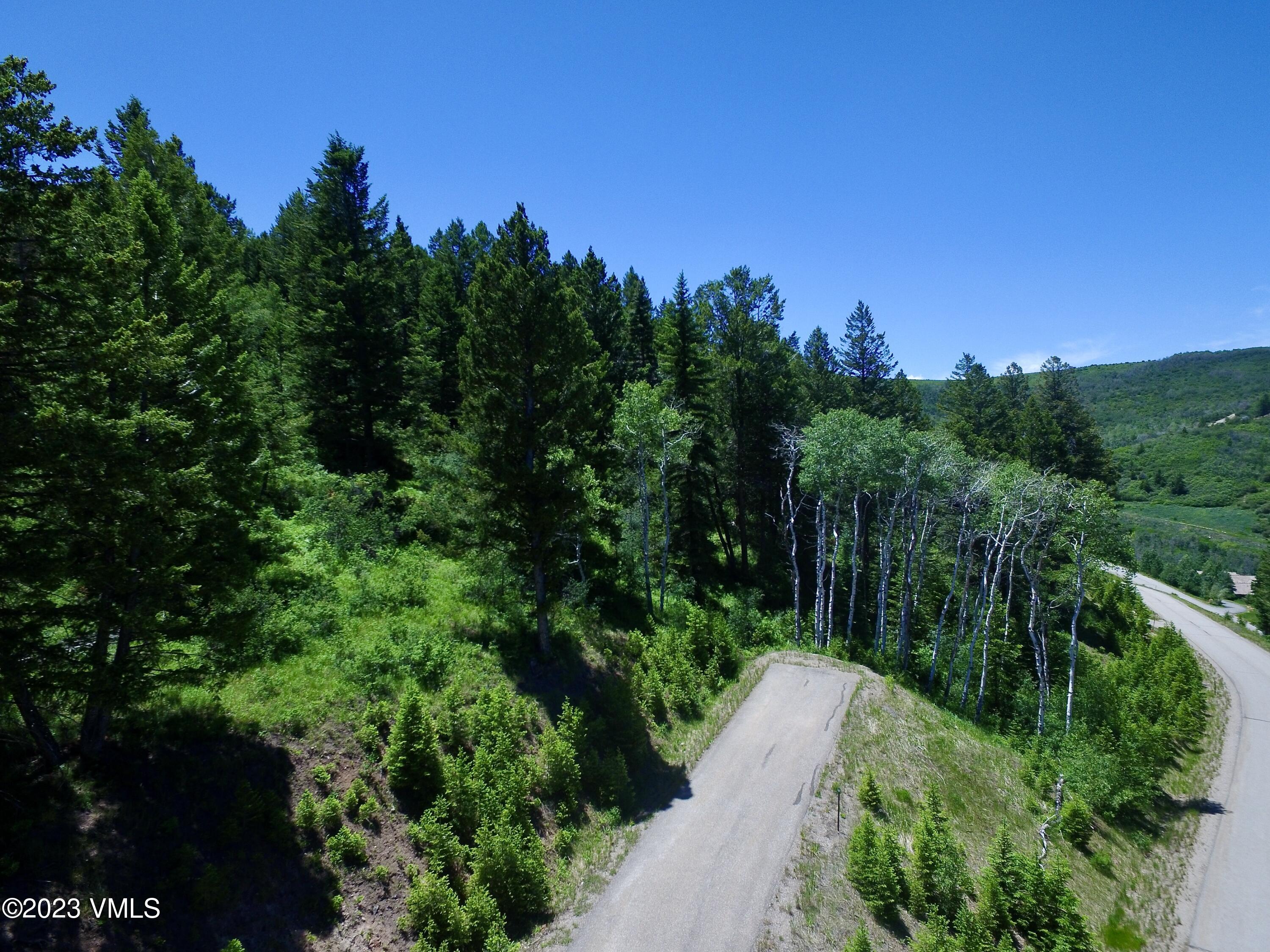 176 Sunquist Road Edwards, CO 81632 - Photo 17 of 19 a view of a pathway both side of grassy field with trees in the background