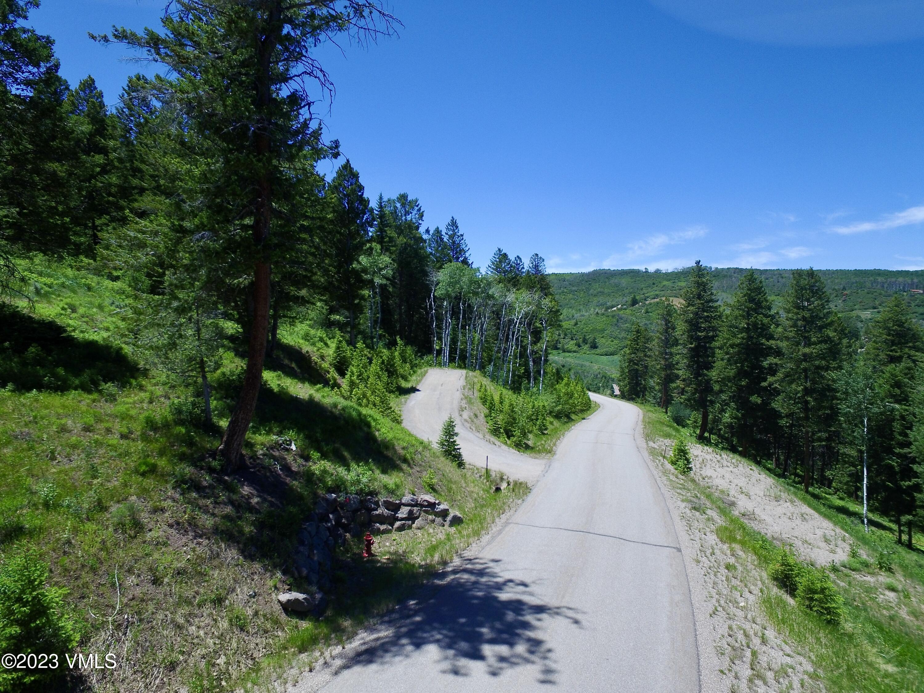 176 Sunquist Road Edwards, CO 81632 - Photo 2 of 19 a view of a pathway both side of grassy field with trees