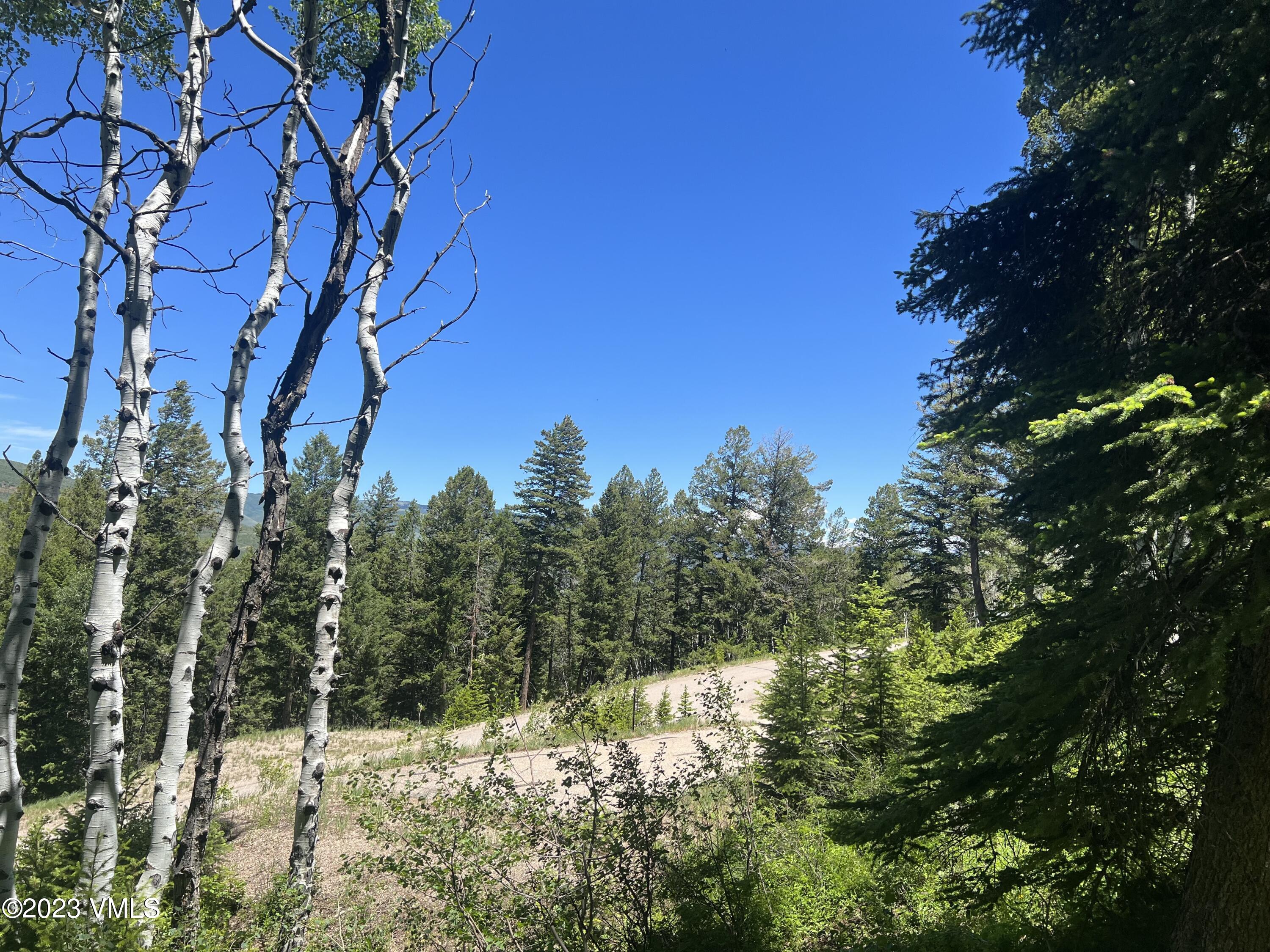 176 Sunquist Road Edwards, CO 81632 - Photo 4 of 19 a view of a snow in a yard