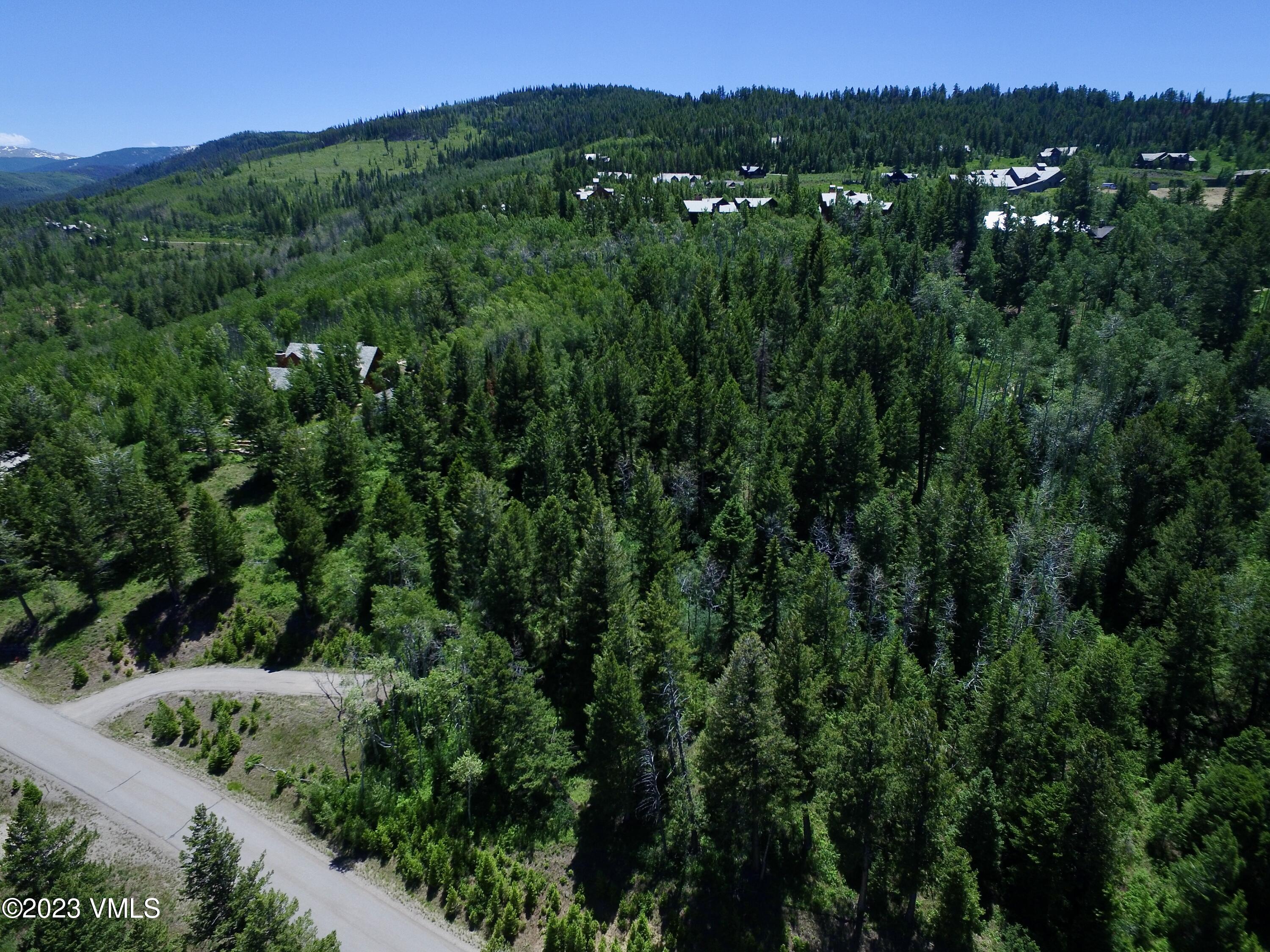 176 Sunquist Road Edwards, CO 81632 - Photo 5 of 19 a view of a lush green forest with trees in the background