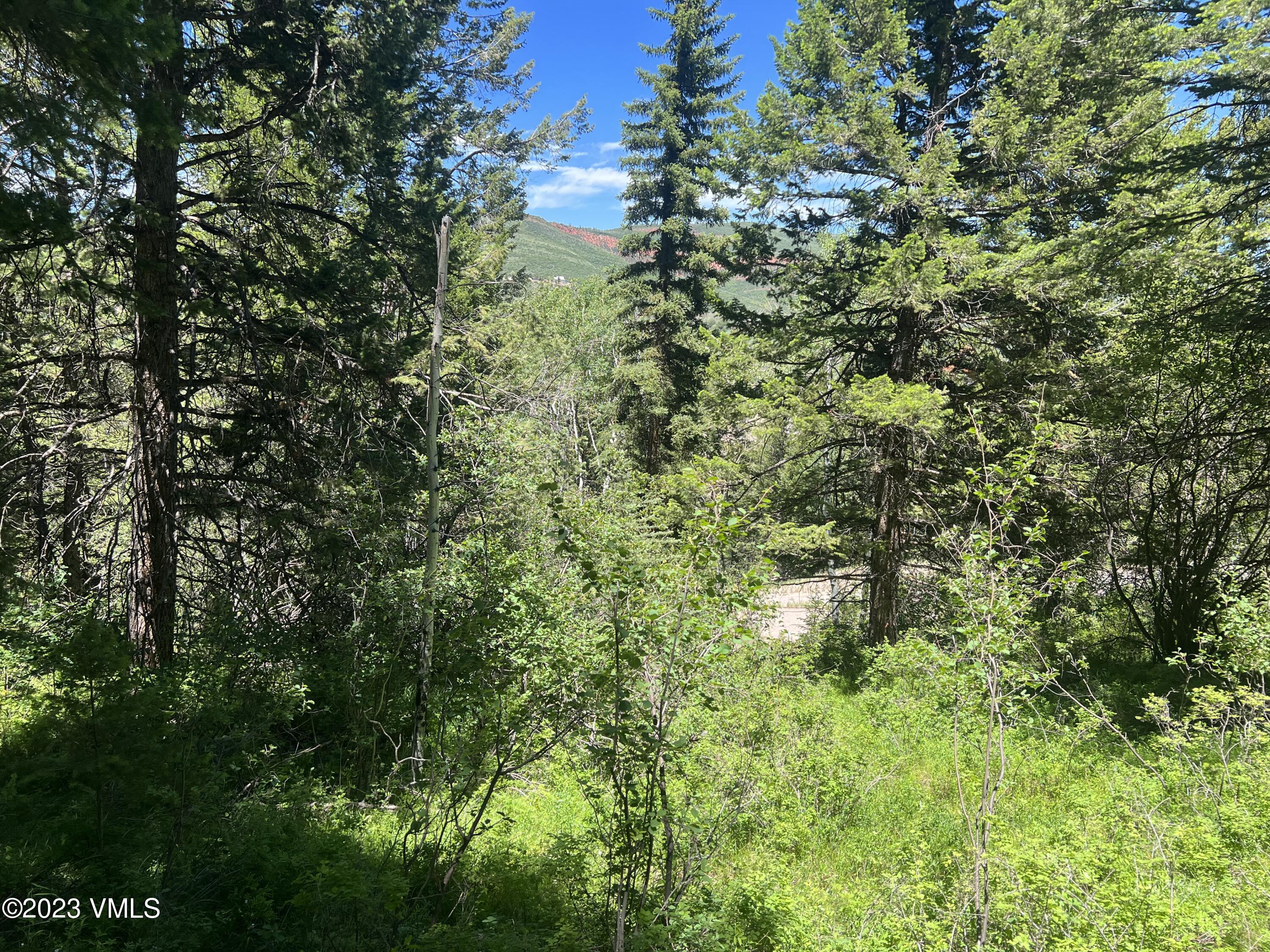 176 Sunquist Road Edwards, CO 81632 - Photo 6 of 19 a view of a lush green forest