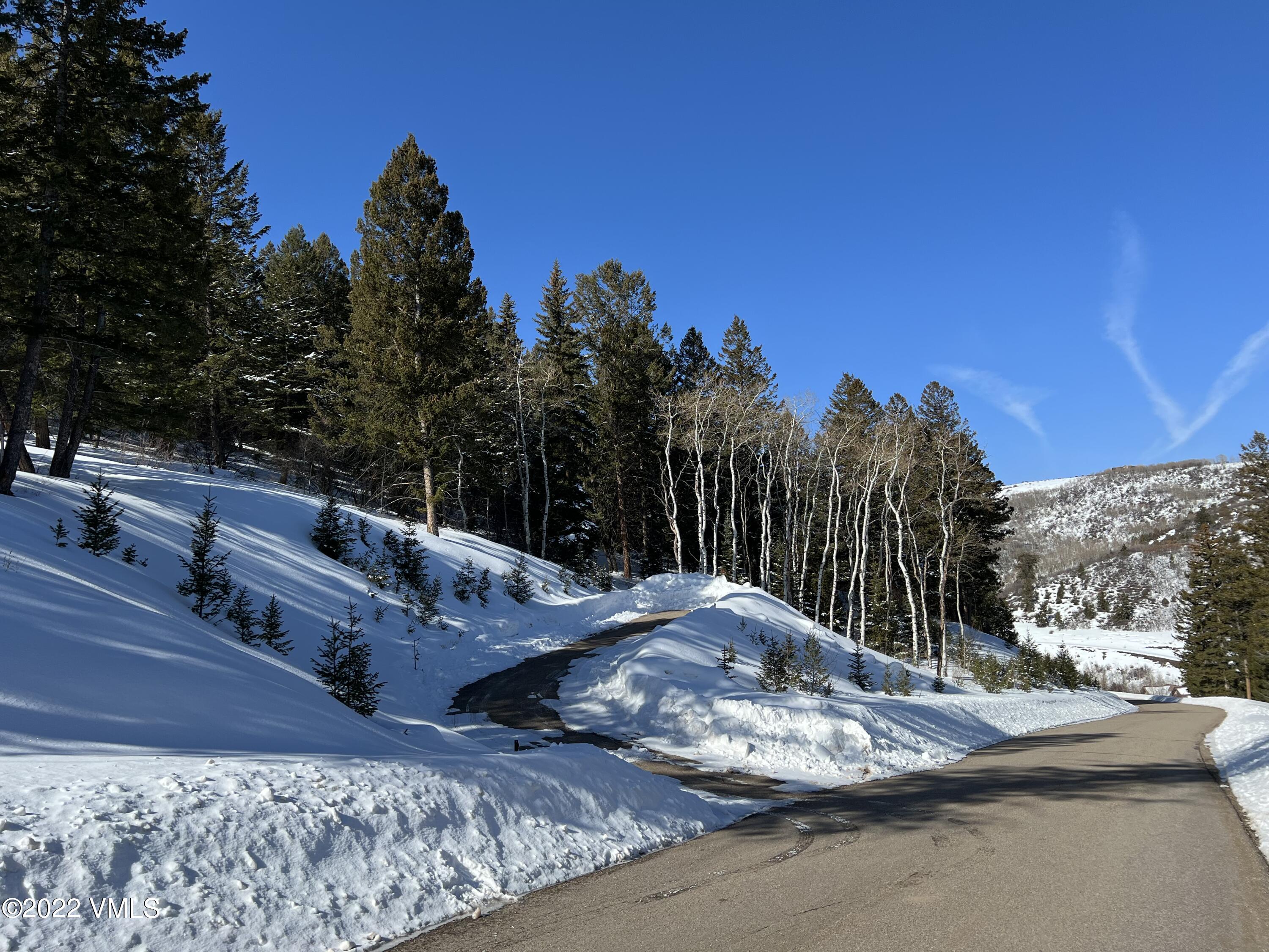 176 Sunquist Road Edwards, CO 81632 - Photo 8 of 19 a view of a back yard of the house