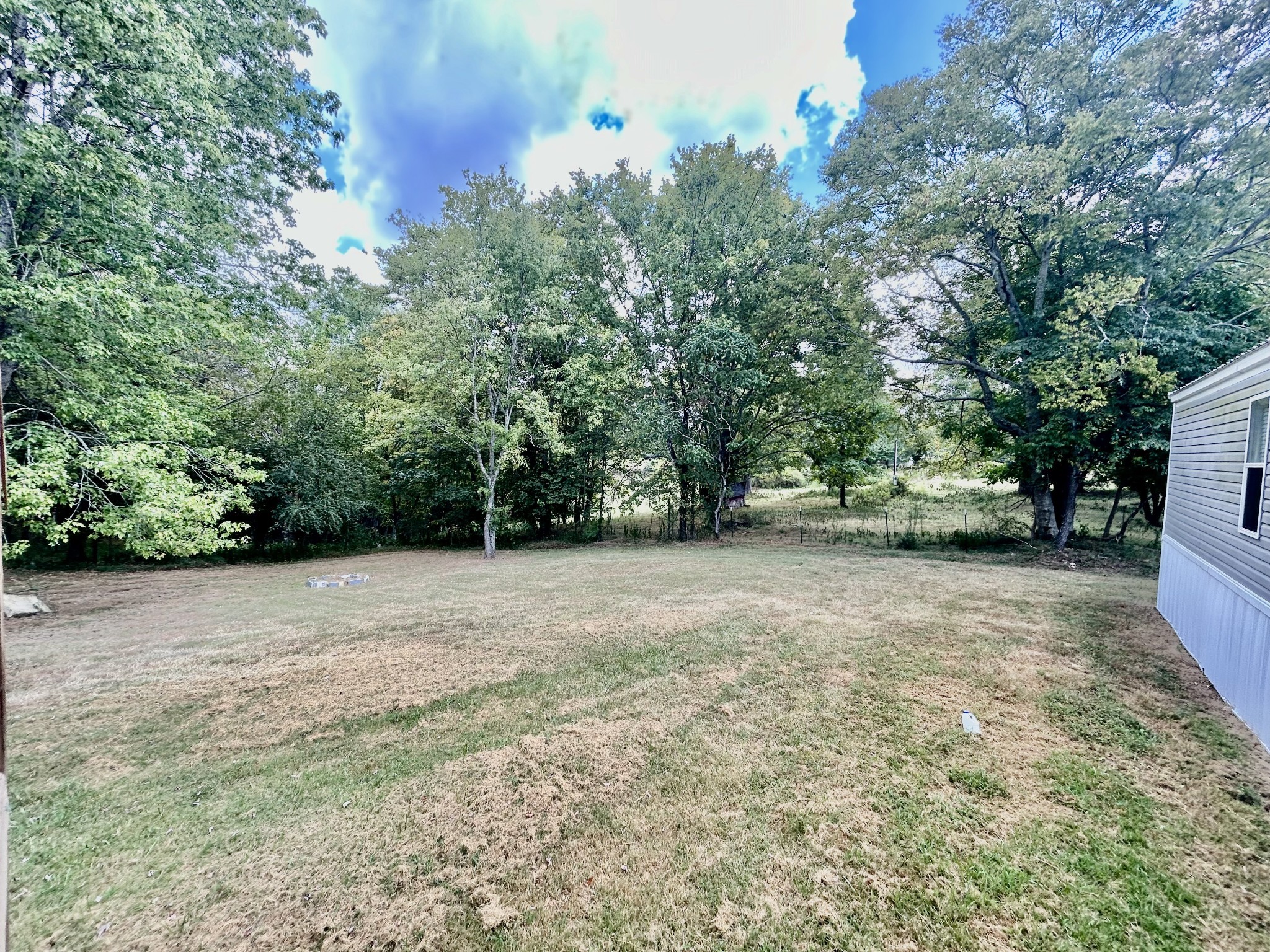 1359 Charley Davis Road Goodspring, TN 38460 - Photo 17 of 24 a view of outdoor space with trees