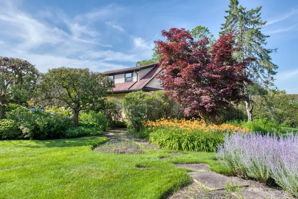 a view of a bench in the garden