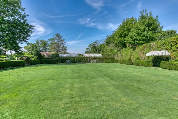 a view of a park with large trees