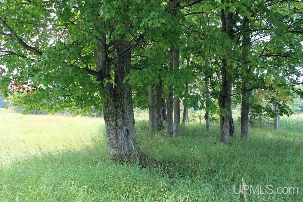 N2506 East T Road Trenary, MI 49891 - Photo 12 of 29 Gallery Image 12
