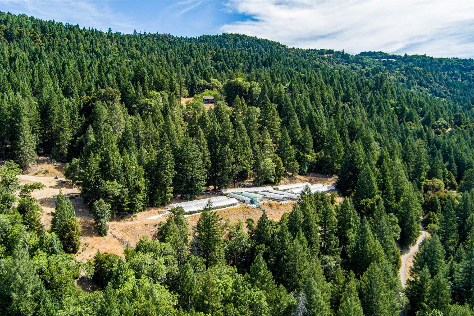 0 West River Road Bridgeville, CA 95526 - Photo 5 of 32