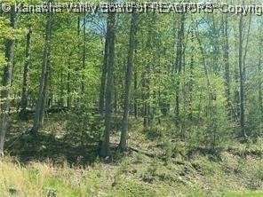 14 Stoney Crk Drive Ripley, WV 25271 - Photo 6 of 6 Gallery Image 6