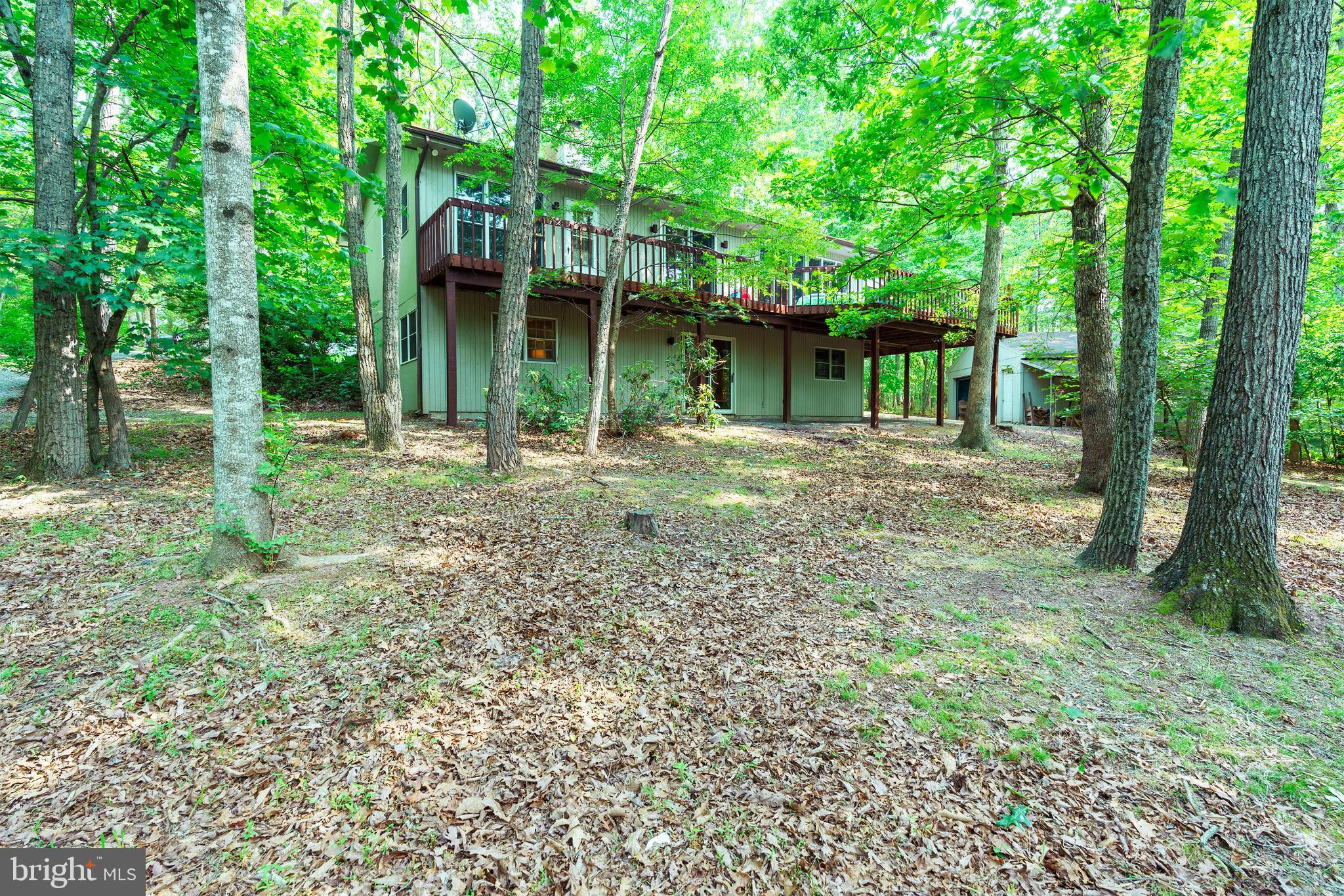 180 Holly Ridge Road Mount Jackson, VA 22842 - Photo 3 of 41