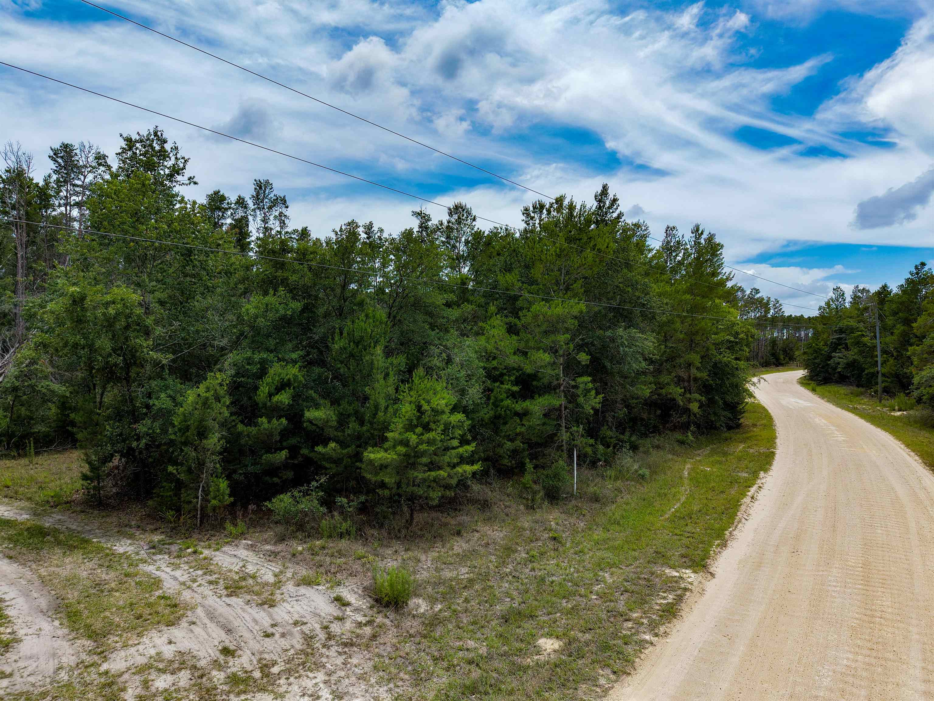 Tbd Ocean Pond Road Perry, FL 32348 - Photo 3 of 21