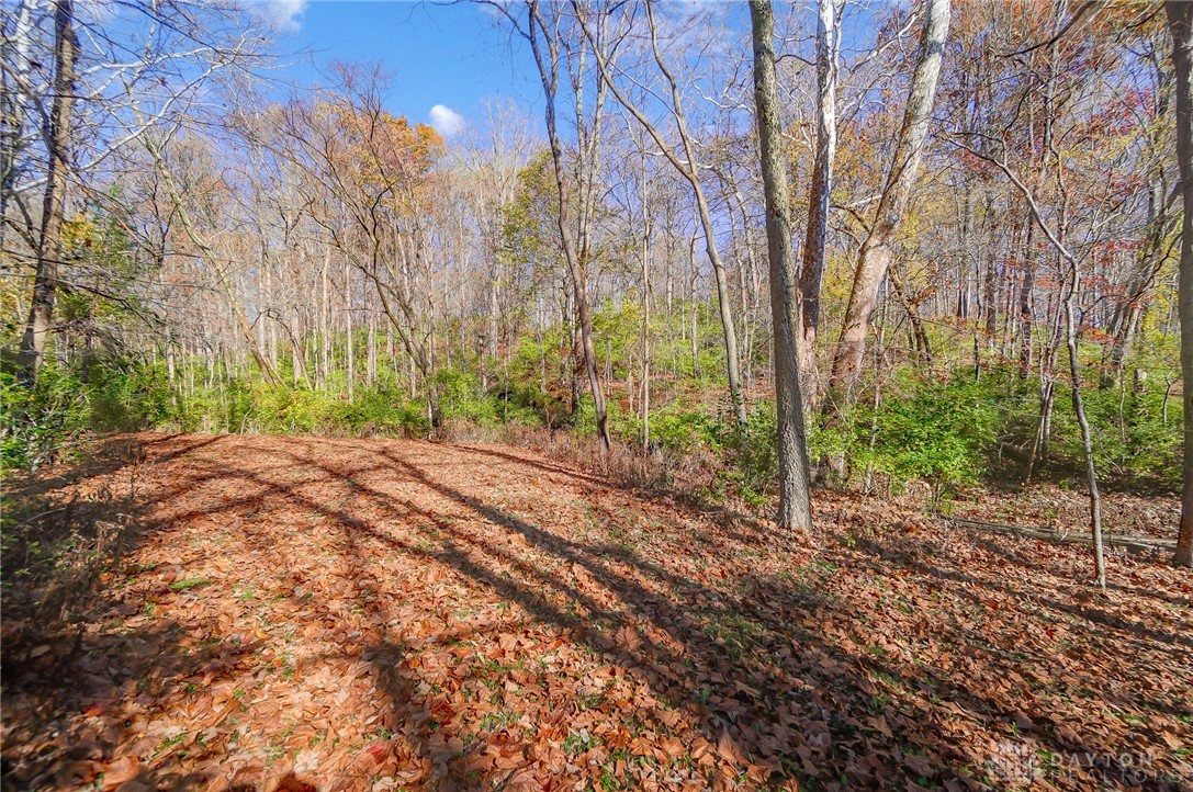 3230 Washington Mill Road Bellbrook, OH 45305 - Photo 52 of 61 Gallery Image 52