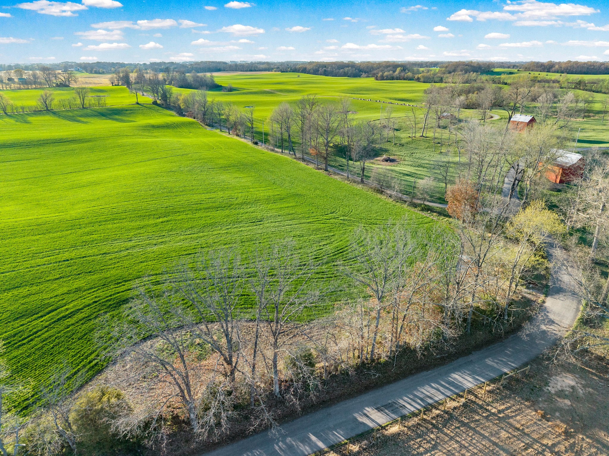0 Wayman Dunn Road Springfield, TN 37172 - Photo 12 of 18