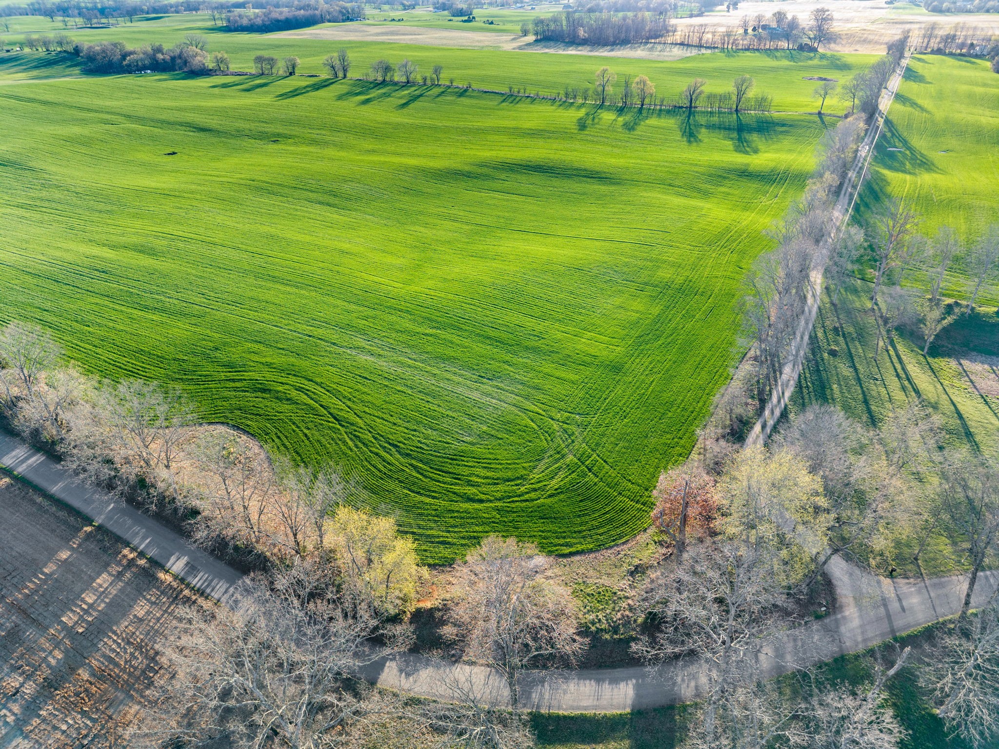 0 Wayman Dunn Road Springfield, TN 37172 - Photo 13 of 18