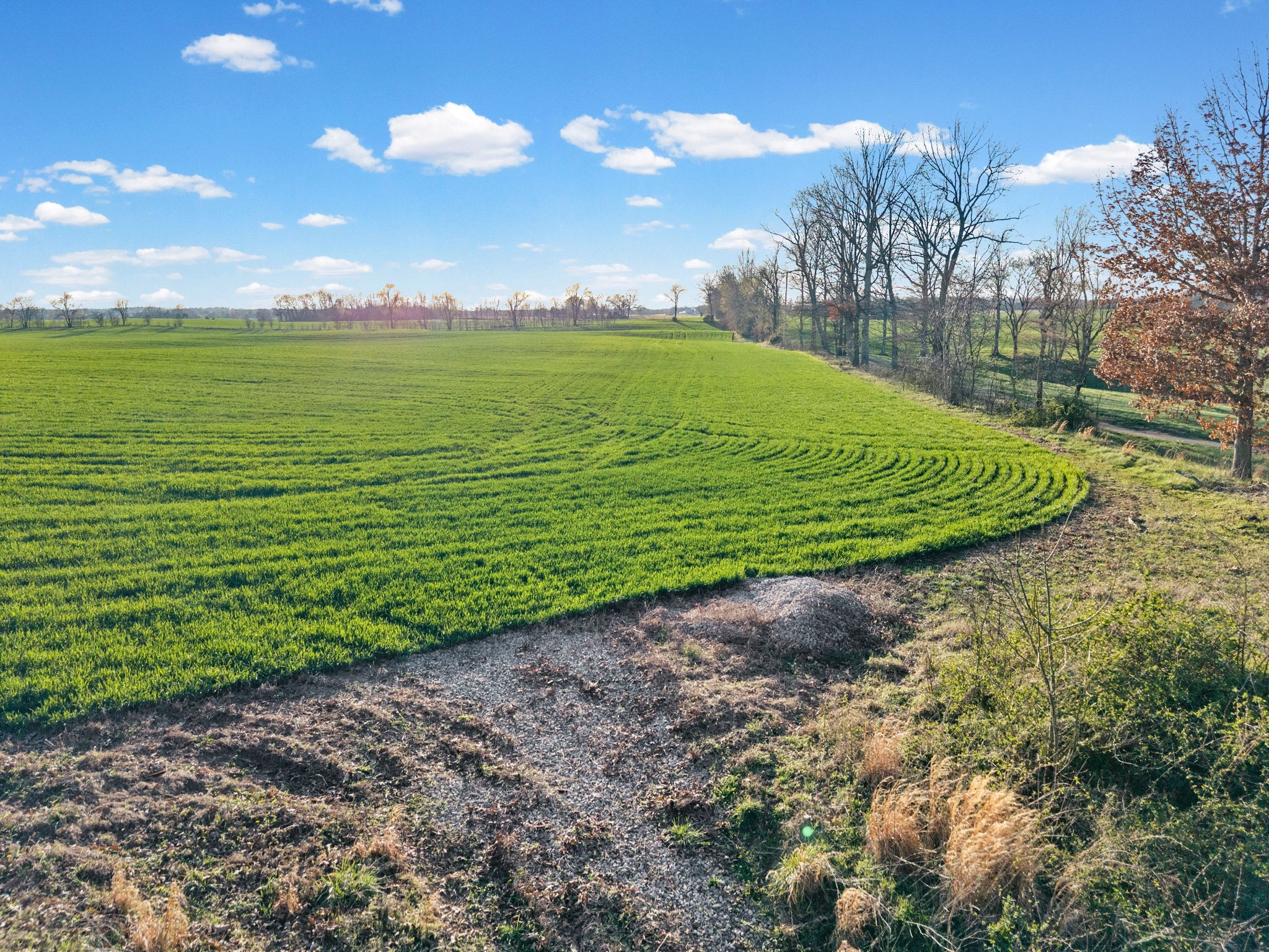 0 Wayman Dunn Road Springfield, TN 37172 - Photo 15 of 18