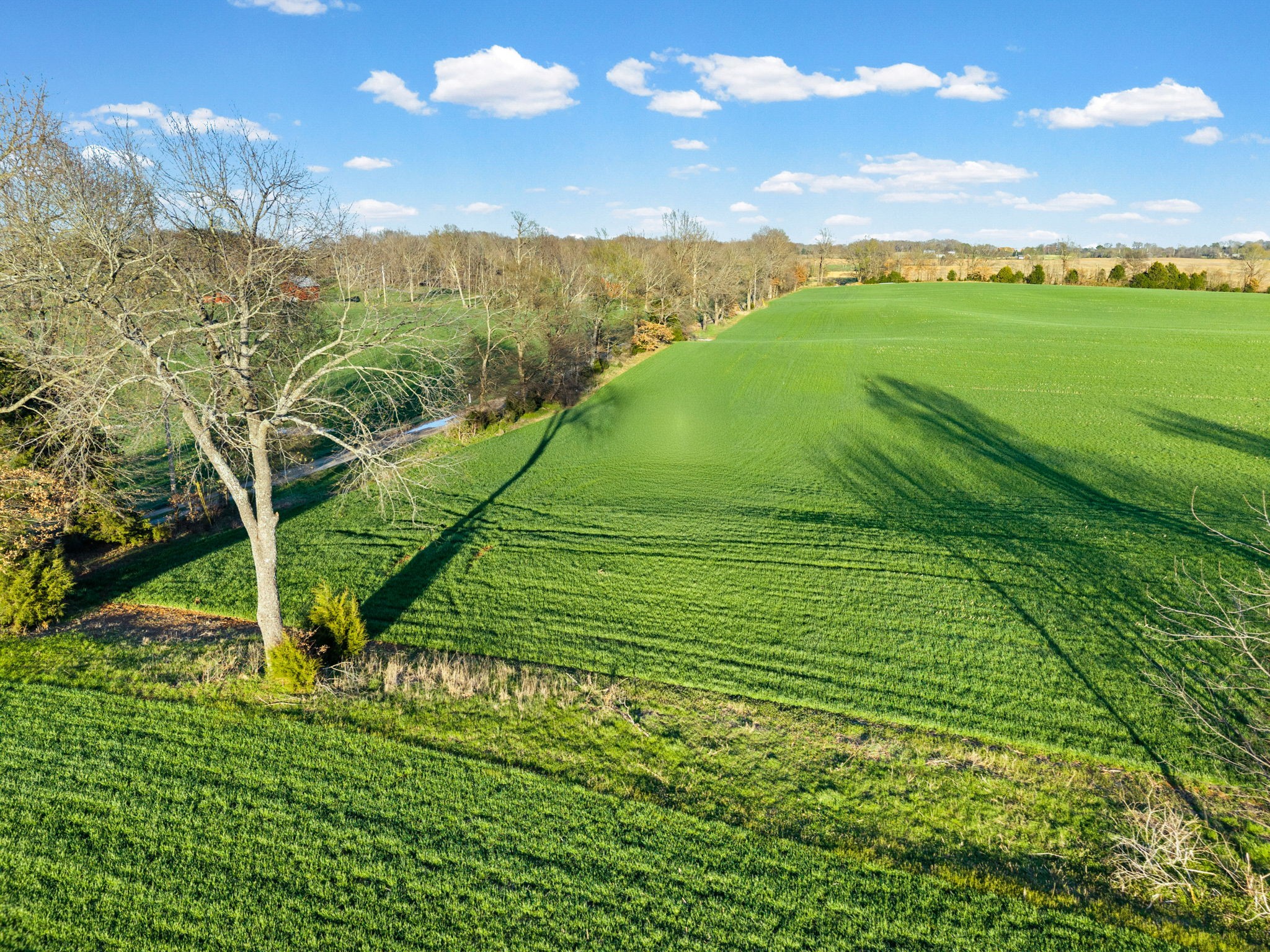 0 Wayman Dunn Road Springfield, TN 37172 - Photo 16 of 18