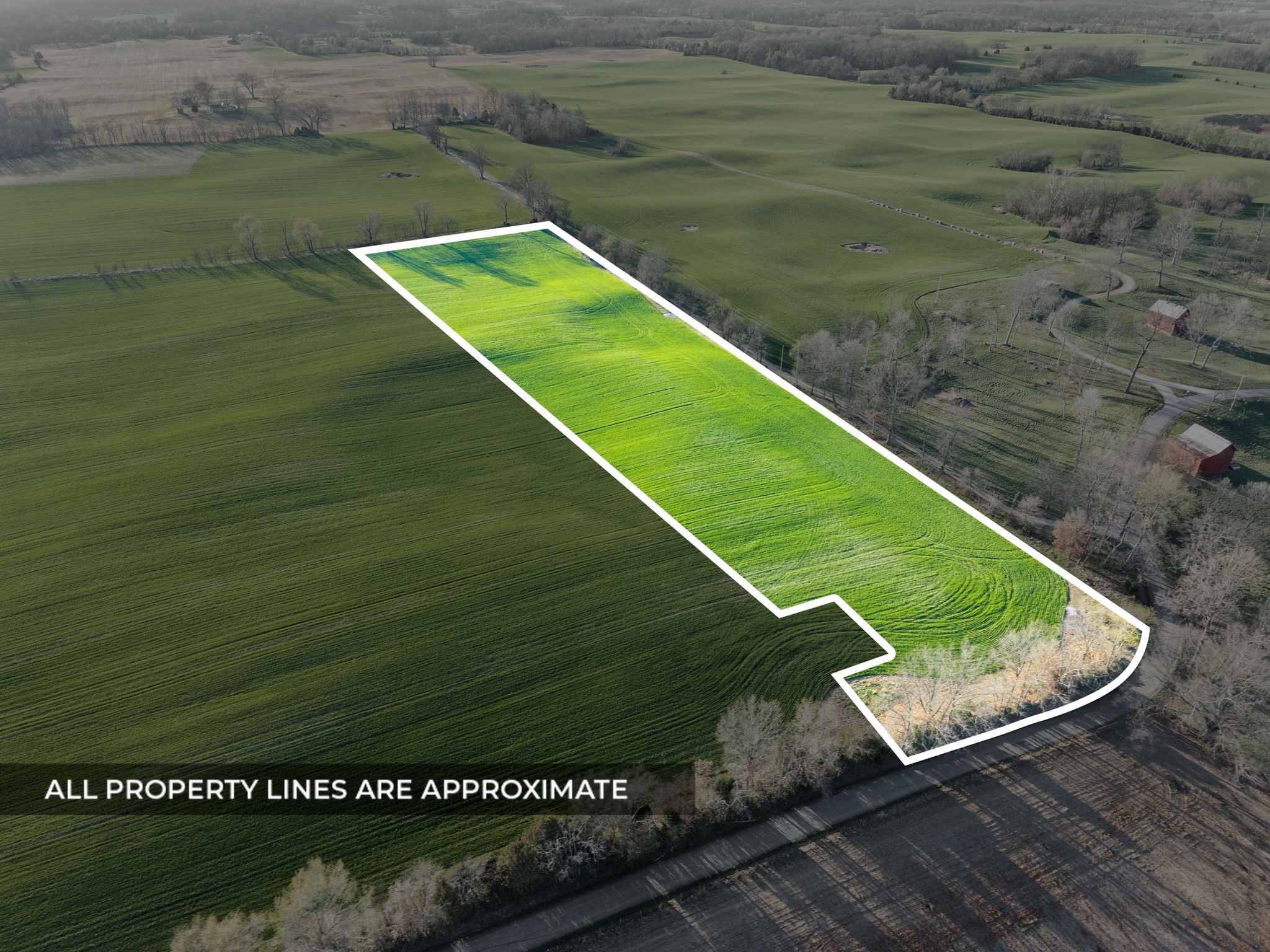 0 Wayman Dunn Road Springfield, TN 37172 - Photo 2 of 18