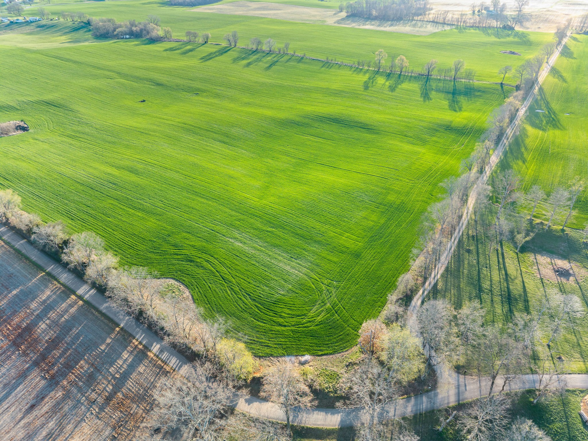 0 Wayman Dunn Road Springfield, TN 37172 - Photo 6 of 18