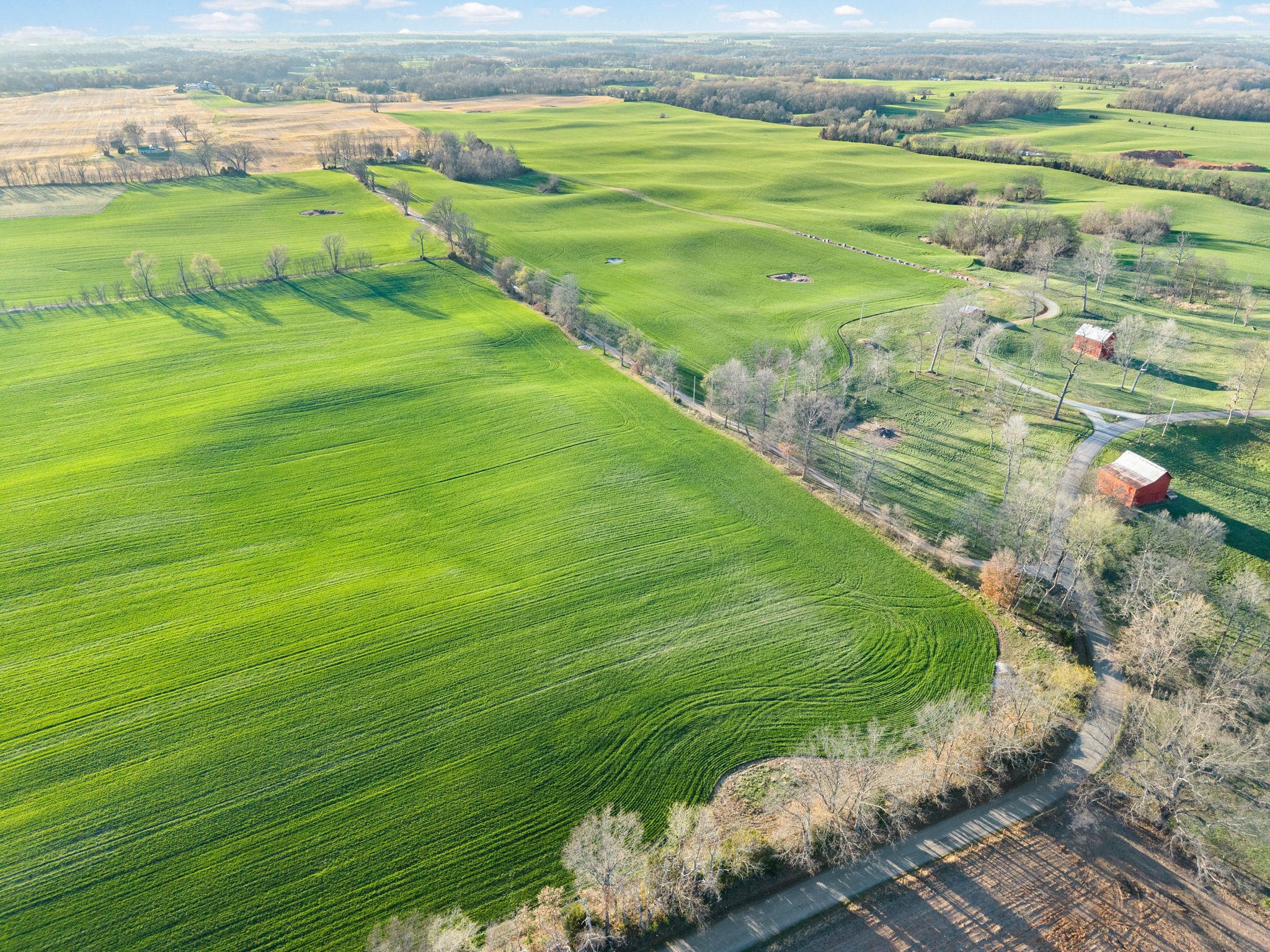 0 Wayman Dunn Road Springfield, TN 37172 - Photo 7 of 18