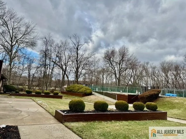 a view of yard with large trees