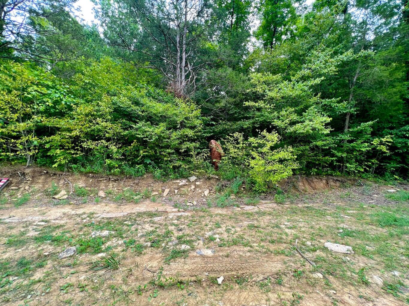1030 Old Owenton-Georgetown Road Owenton, KY 40359 - Photo 14 of 37 20230811144709491628000000-o