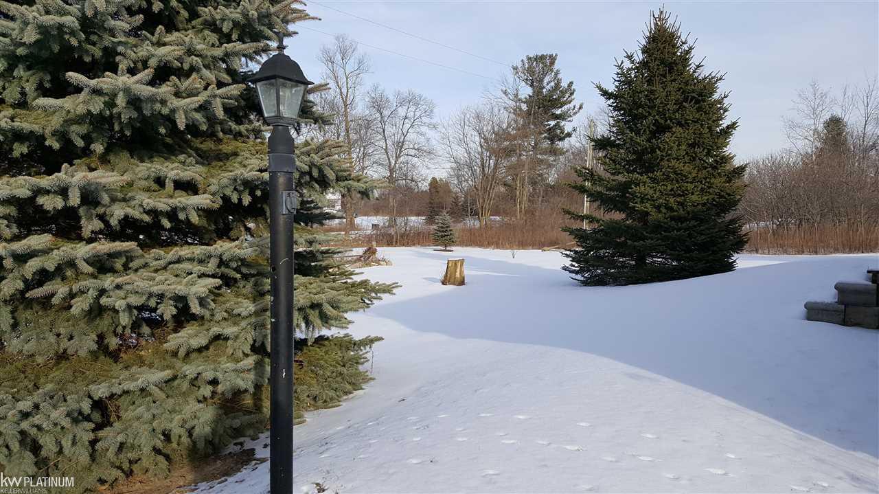1066 East Wellman Line Road Yale, MI 48097 - Photo 3 of 18 Gallery Image 3