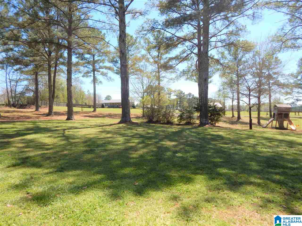 173 Tawbush Road Trafford, AL 35172 - Photo 32 of 50