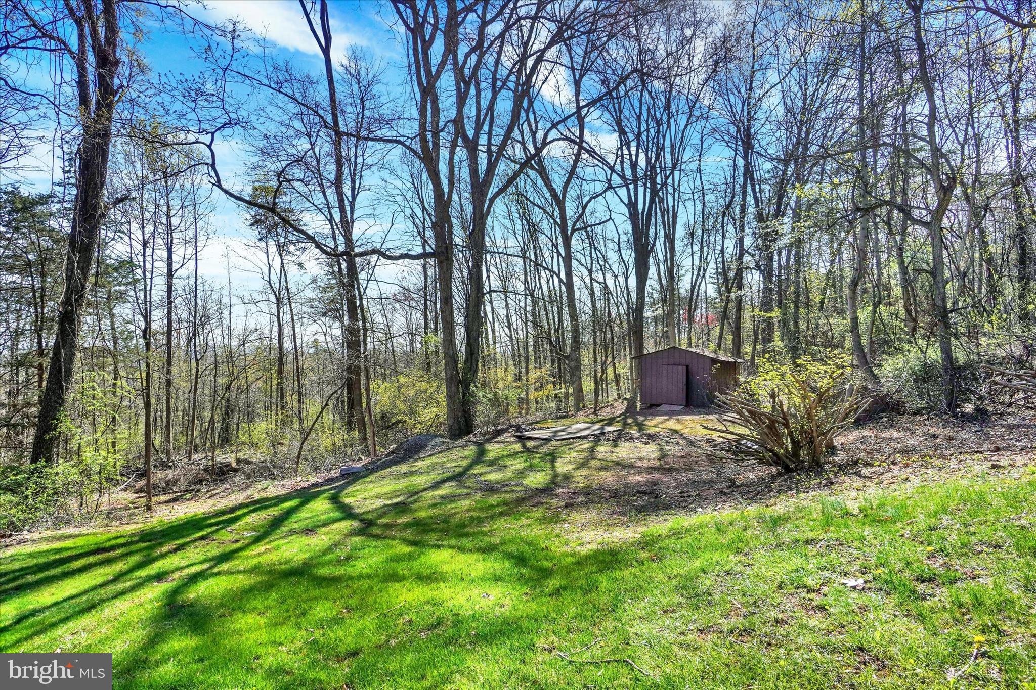 5601 Crone Road Dover, PA 17315 - Photo 37 of 53 a view of a backyard with a tree