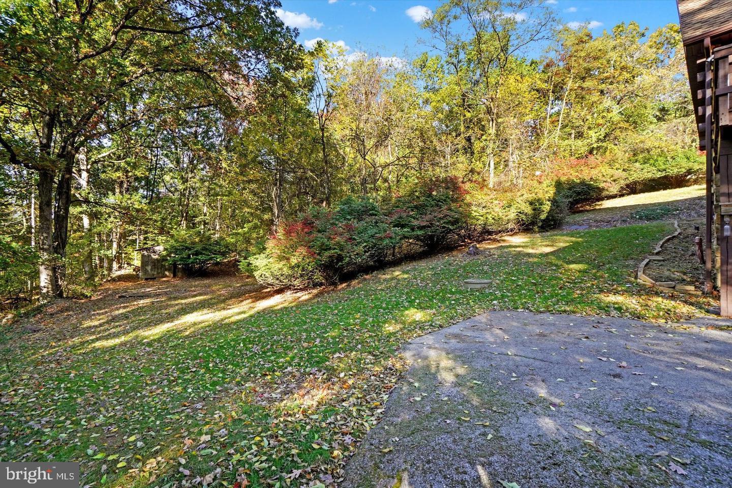 5601 Crone Road Dover, PA 17315 - Photo 47 of 53 a view of a yard with plants and trees
