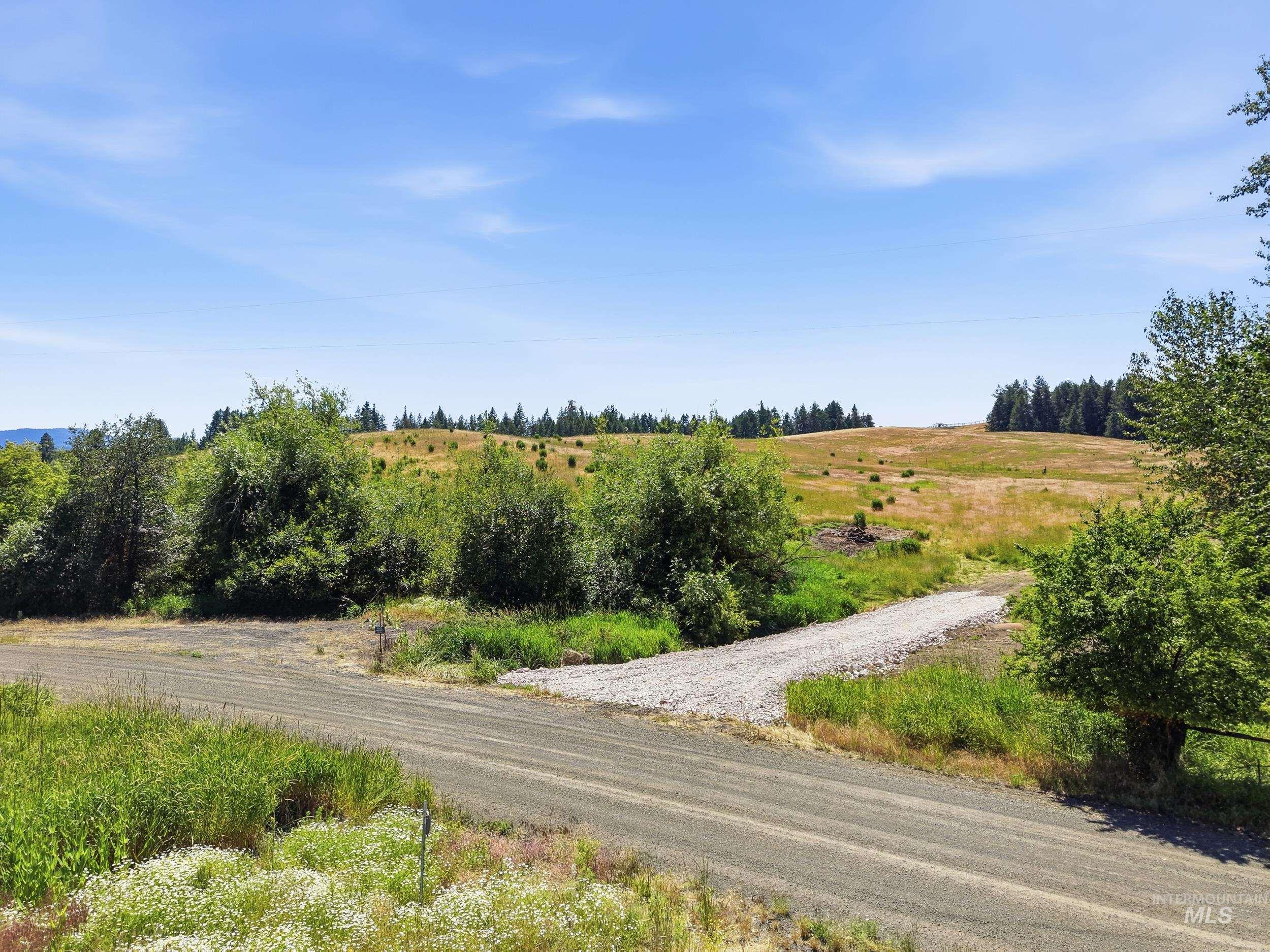 Tbd Reynolds Road Princeton, ID 83857 - Photo 2 of 11