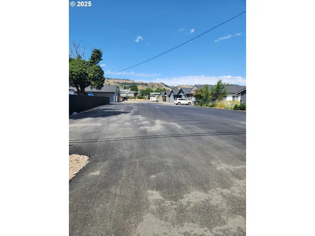 a couple of potted plants in front of a house
