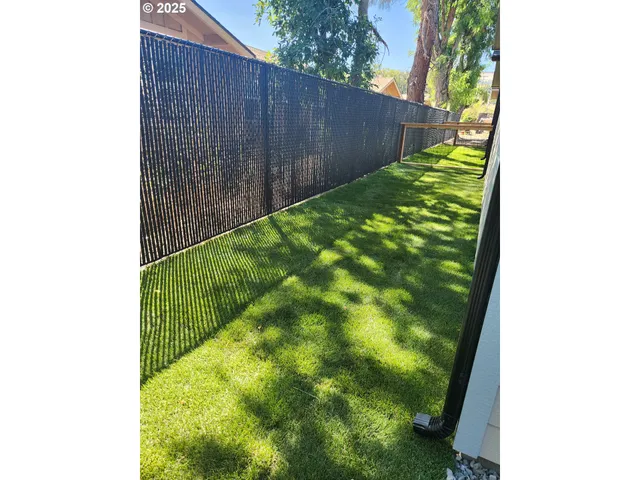 a view of a backyard