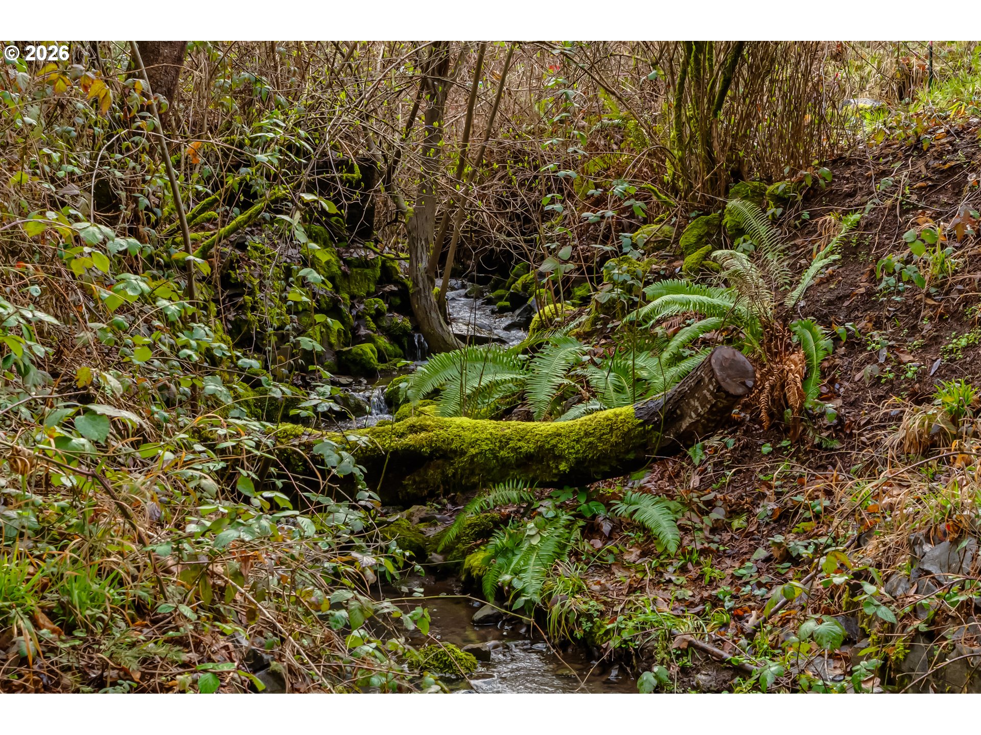 3320 Videra Drive Eugene, OR 97405 - Photo 39 of 39