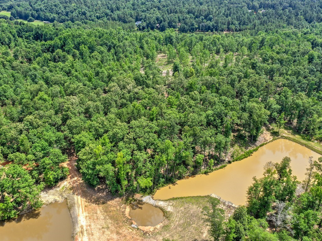 Parcel B Old Dibble Road Aiken, SC 29803 - Photo 3 of 17